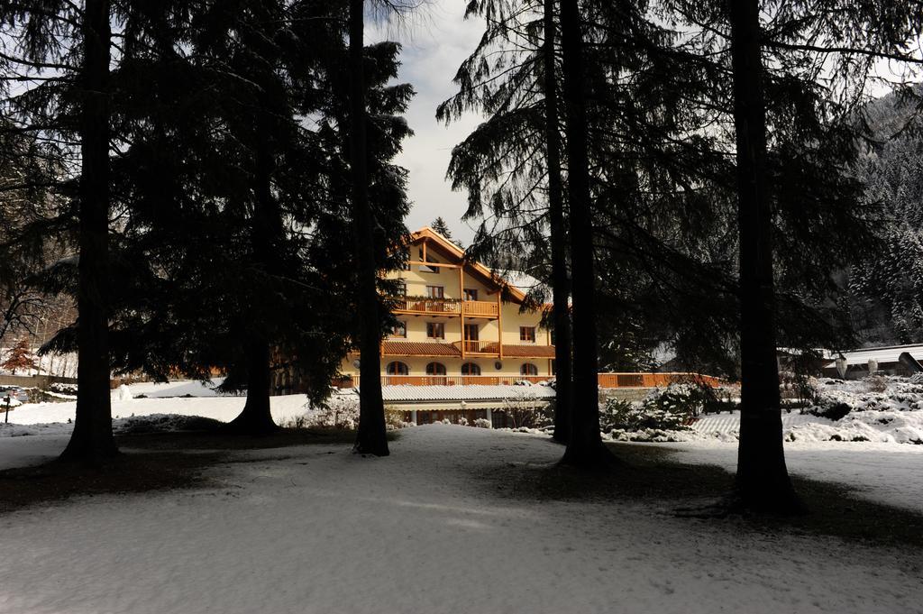 Holidays Dolomiti Apartment Resort Carisolo Extérieur photo